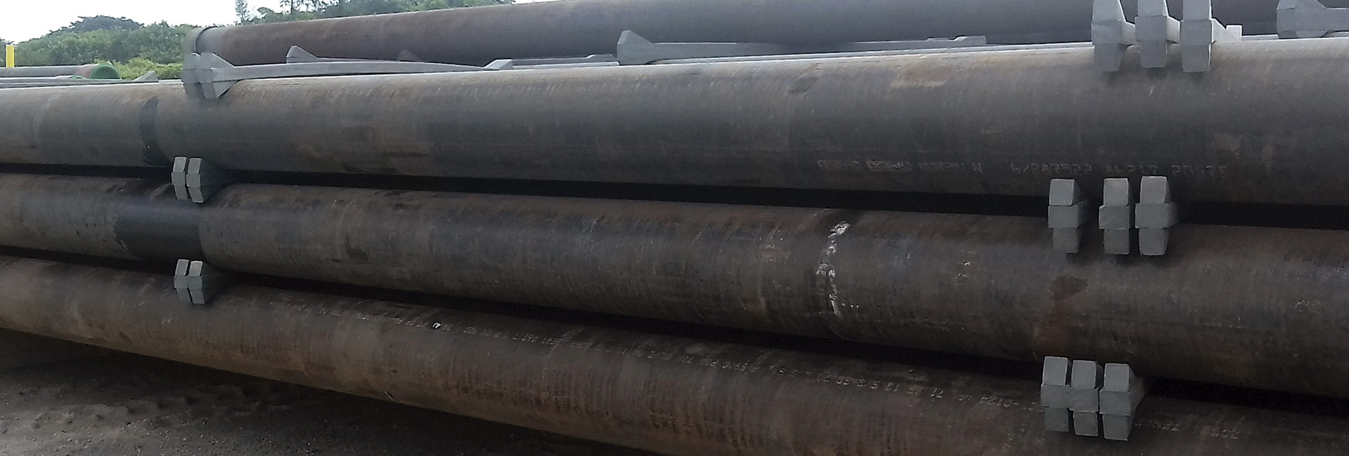 Banner Principal Dunnage 02